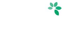 SAMIR Foundation SAMIR Foundation